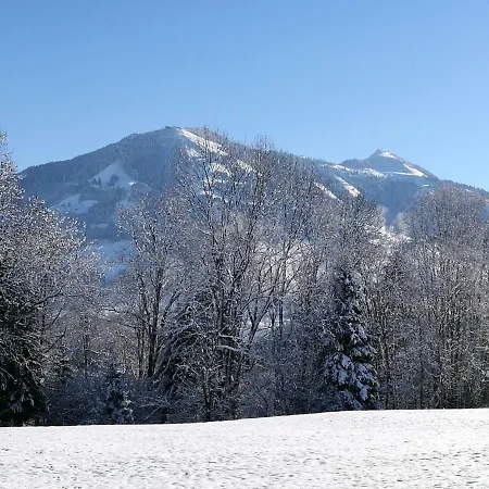 Desiree Hopfgarten im Brixental