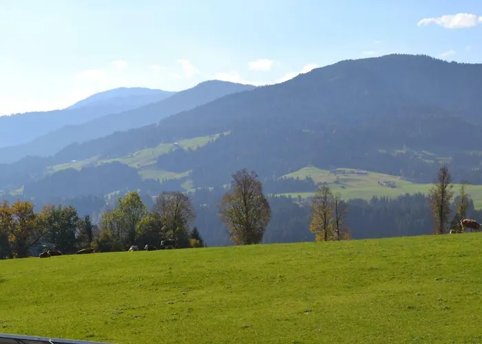 Apartman Desiree Hopfgarten im Brixental