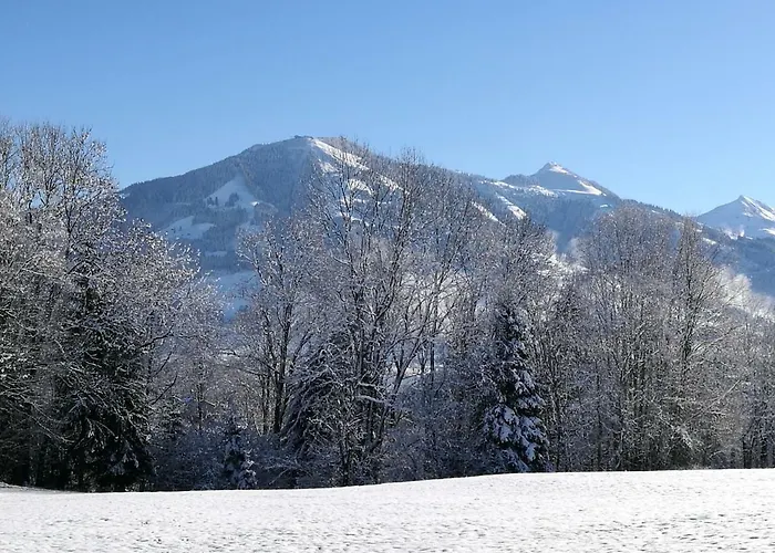 Desiree Hopfgarten im Brixental
